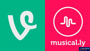 O Fracasso do Vine e Surgimento do Musical.LY