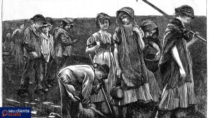 Consequências do Trabalho Infantil